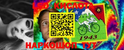 дурь Будённовск